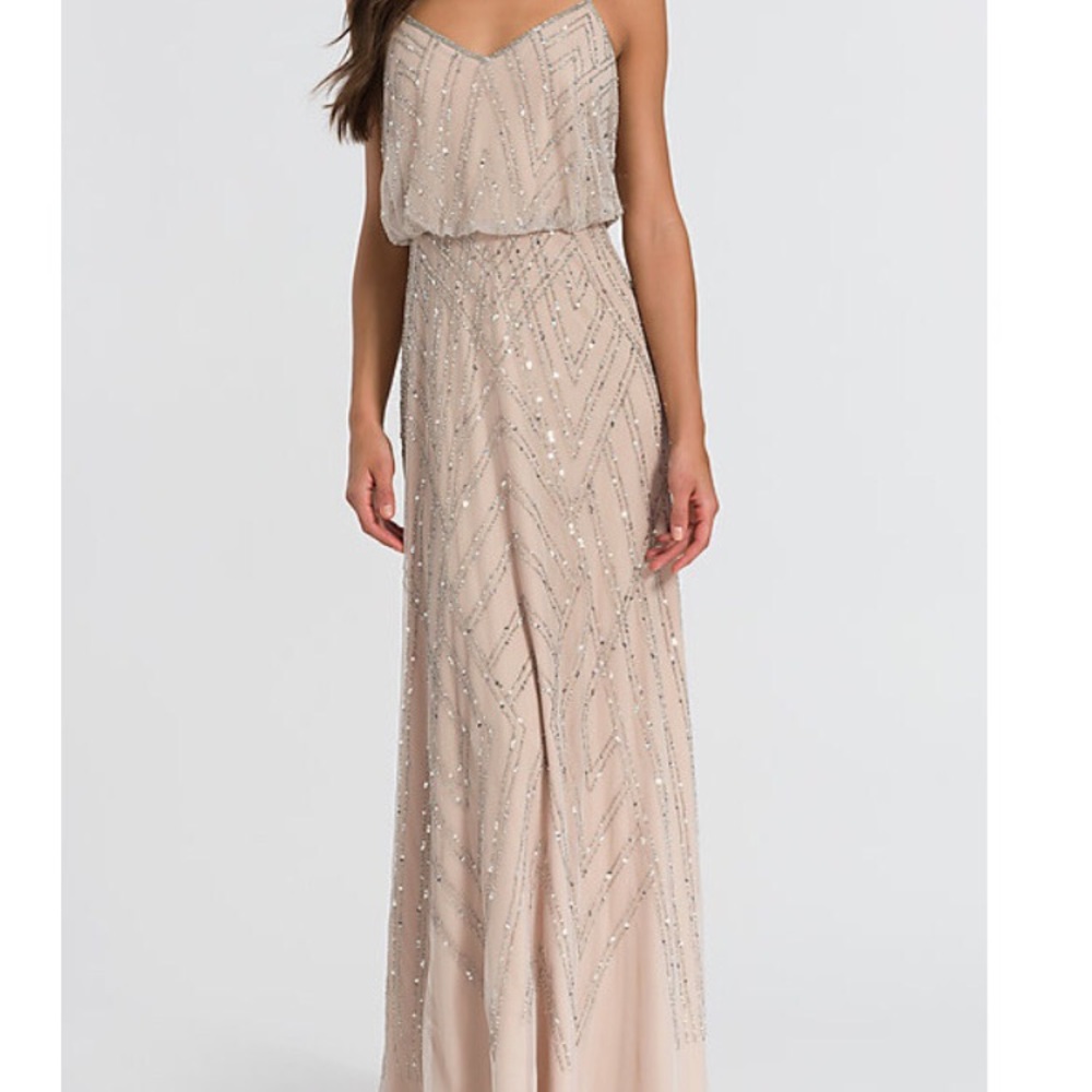 Blush Adrianna Papell Beaded Dress / Gown